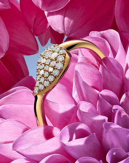 Birks Pétale diamond earrings on an orange daisy flower.