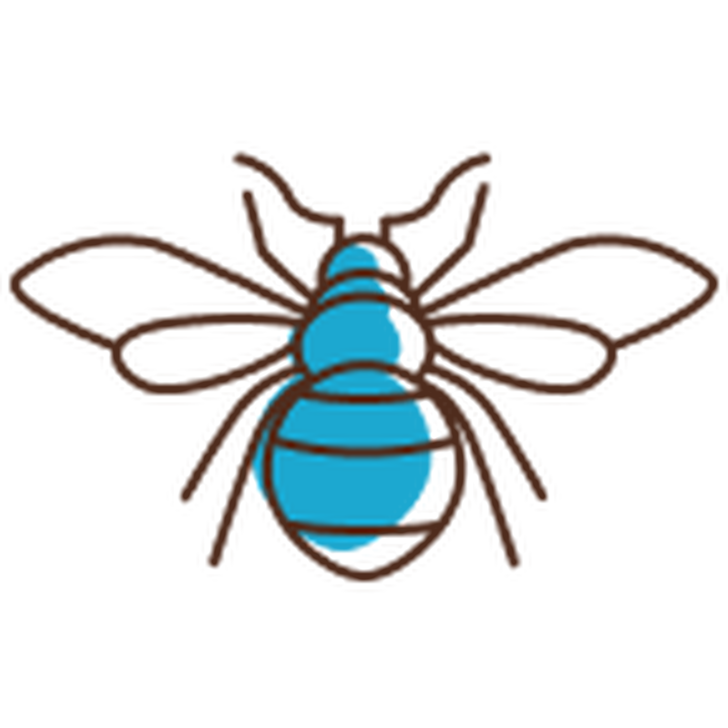 illustration of a bee