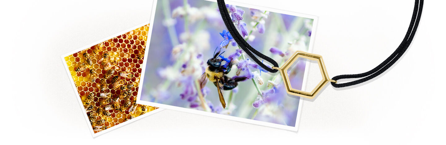 A gold hexagonal pendant on a black bracelet sits on two photographs of bees