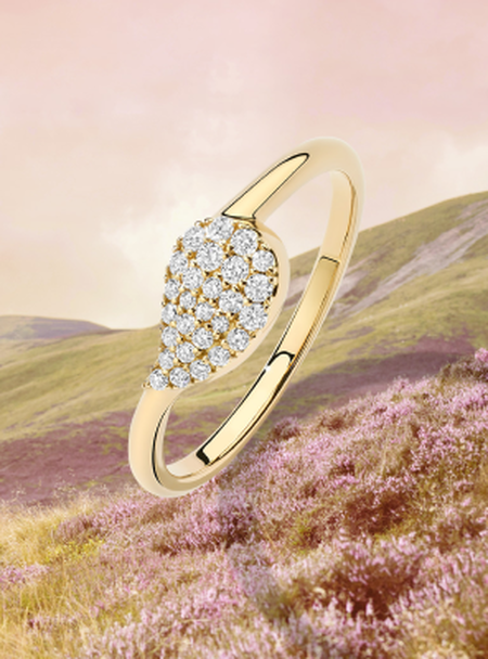 A Birks Pétale Ring on a background with a field.