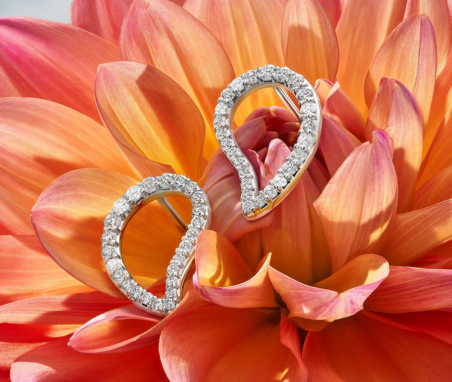 Boucles d'oreilles en diamants Birks Pétale sur une fleur orange.