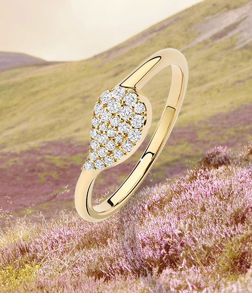 A diamond and gold ring sits on top of an image of wildflowers blooming on hillside